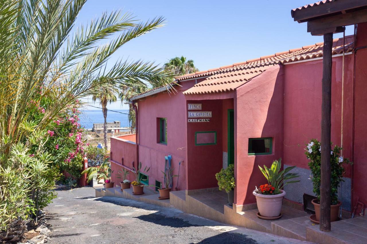 Finca La Gaviota - El Granito Icod De Los Vinos Bagian luar foto